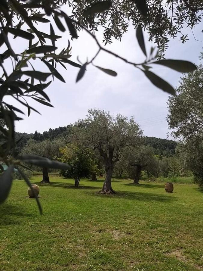 Meerithic Rokka Rooms Vourvourou Dış mekan fotoğraf